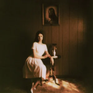 album-cover-of-ethel-cain-debut-album-preachers-daughter